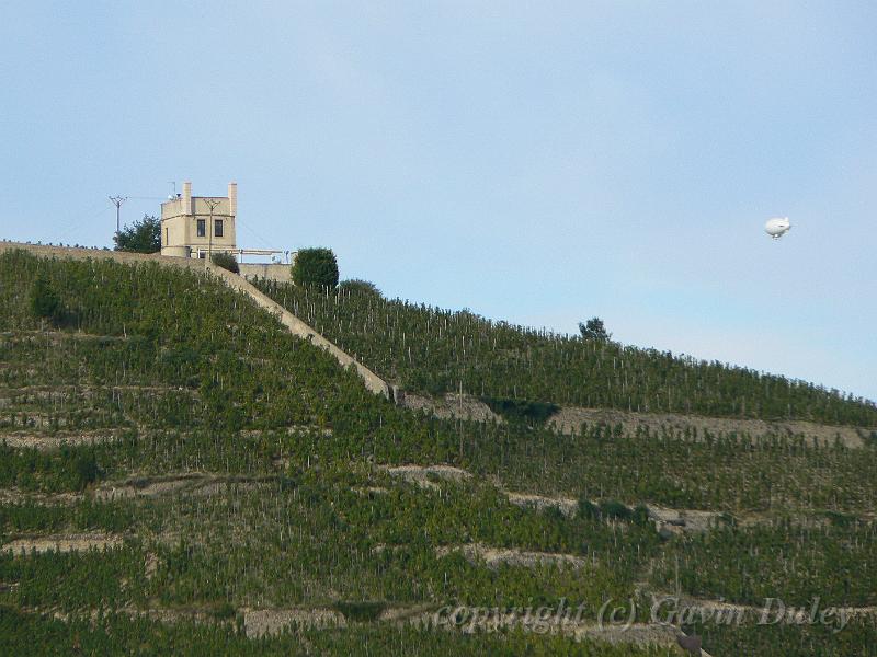 Hermitage vineyards from Tournon-sur-Rhône P1130968.JPG